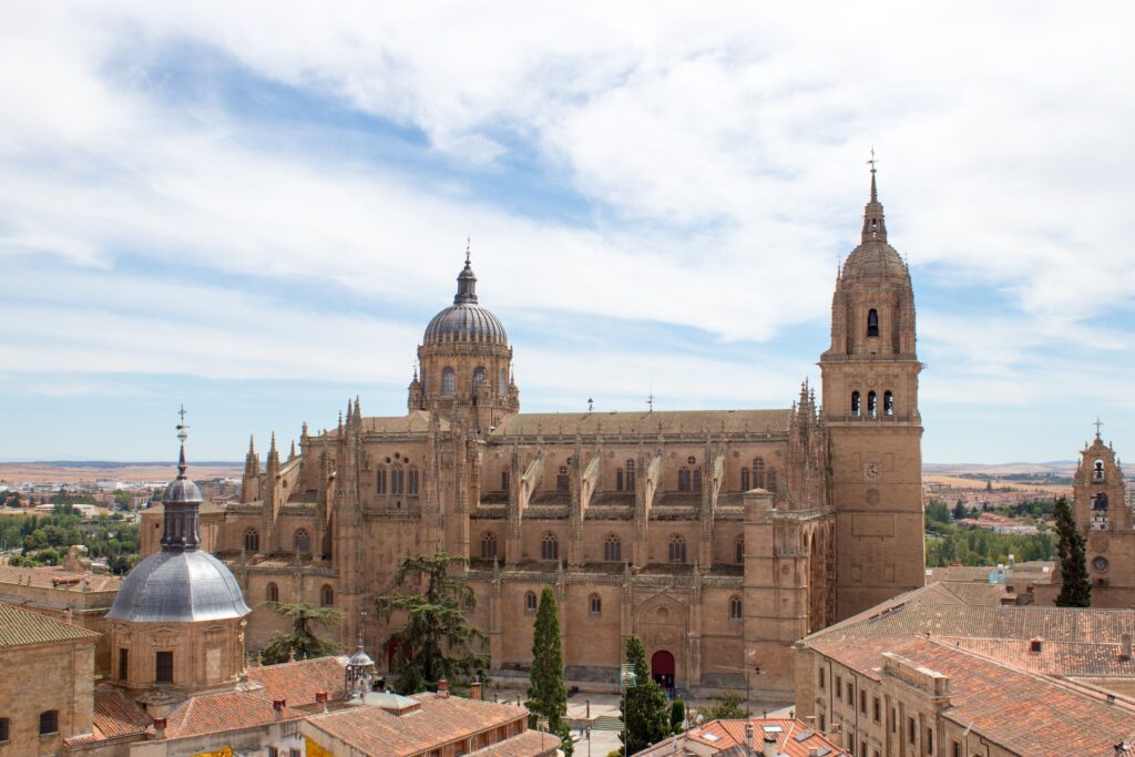 Endagstur fra Madrid til Salamanca